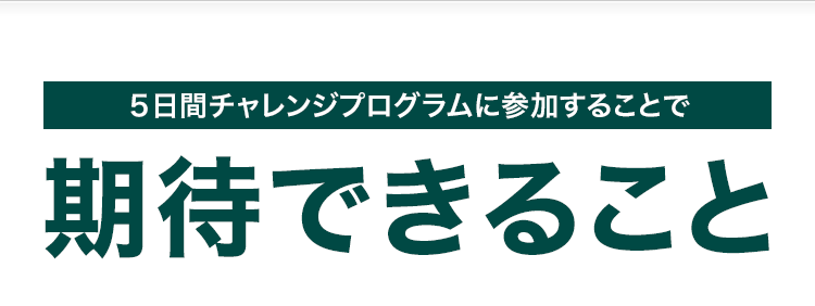 5日間チャレンジプログラムに参加することで期待できること